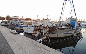 2025 11 28 TOULON EN SOIREE -  LE PORT ET ILLUMINATIONS VILLE (5)